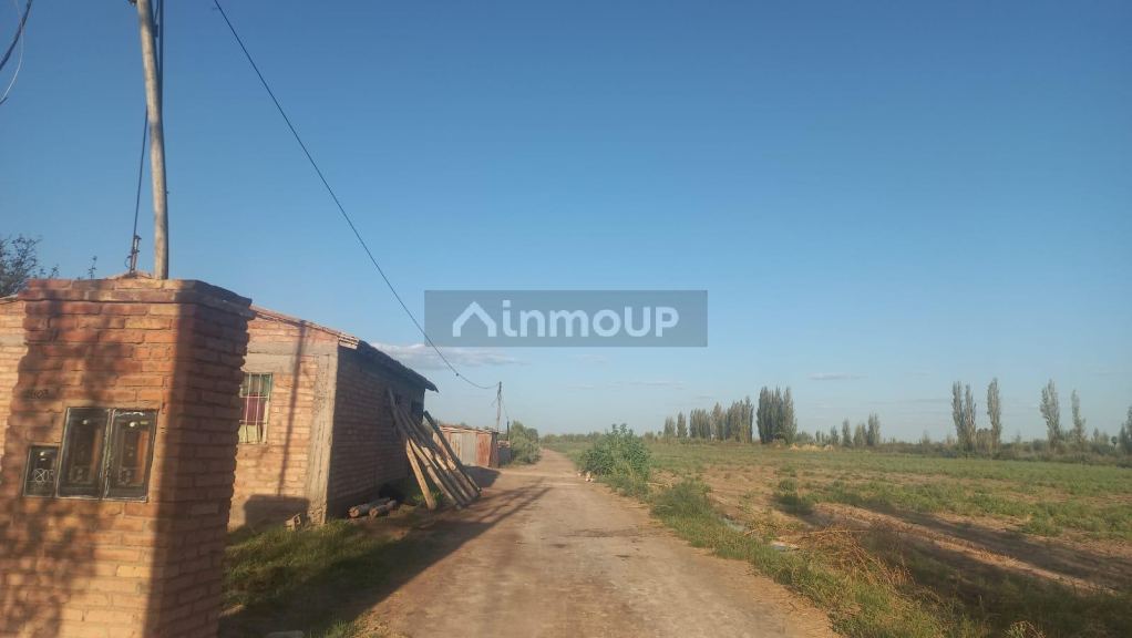 Finca en Venta en Maipu, Mendoza