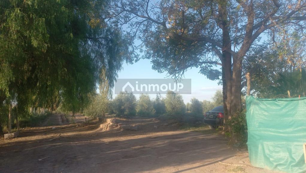 Finca en Venta en Maipu, Mendoza