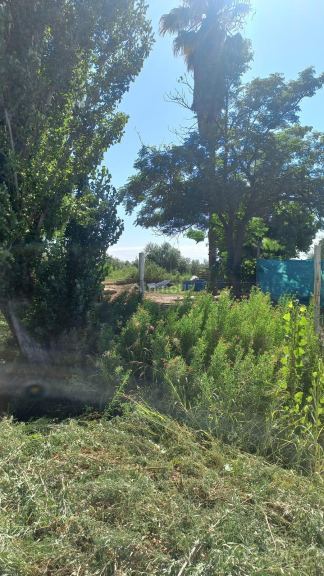 Finca en Venta en Maipu, Mendoza