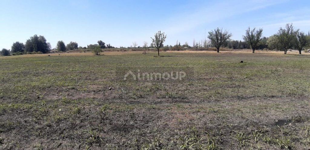 Lote en Venta en San Martin, Mendoza