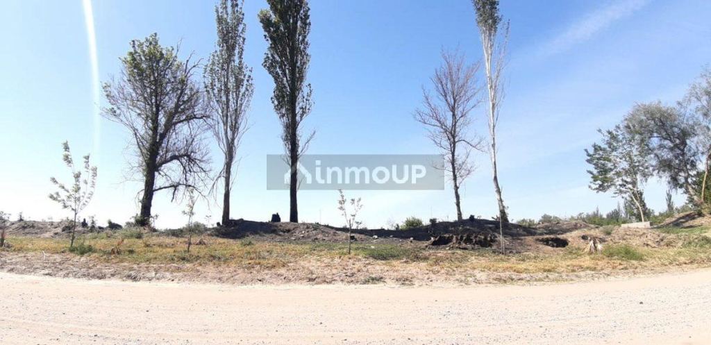 Lote en Venta en San Martin, Mendoza