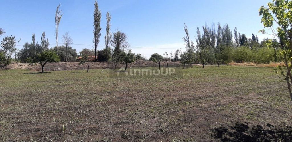 Lote en Venta en San Martin, Mendoza