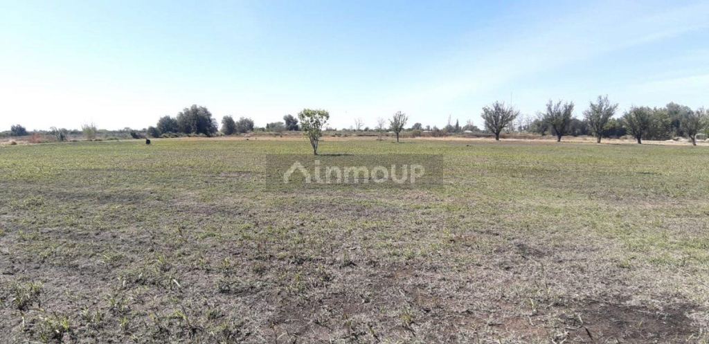 Lote en Venta en San Martin, Mendoza