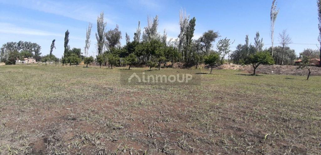 Lote en Venta en San Martin, Mendoza