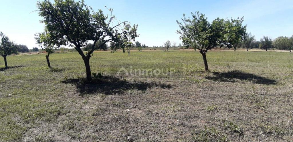 Lote en Venta en San Martin, Mendoza