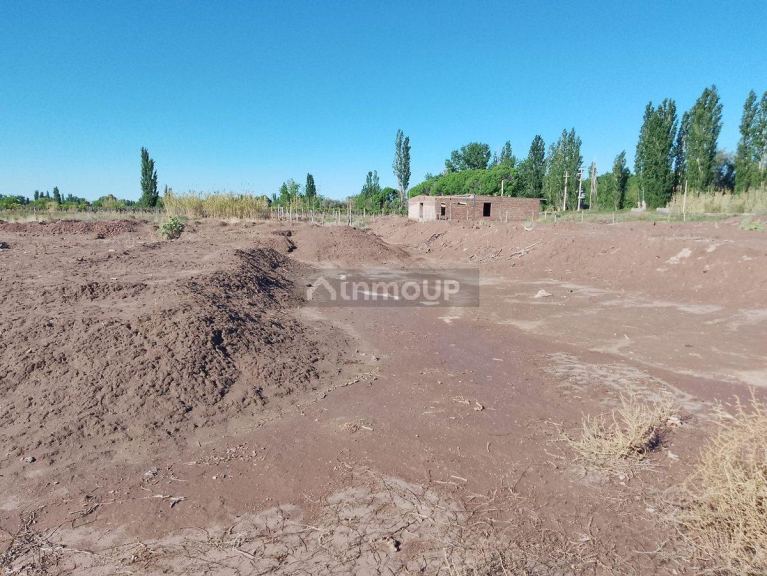 Lote en Venta en San Martin, Mendoza