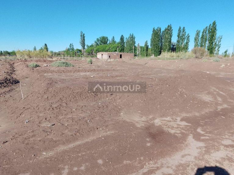 Lote en Venta en San Martin, Mendoza