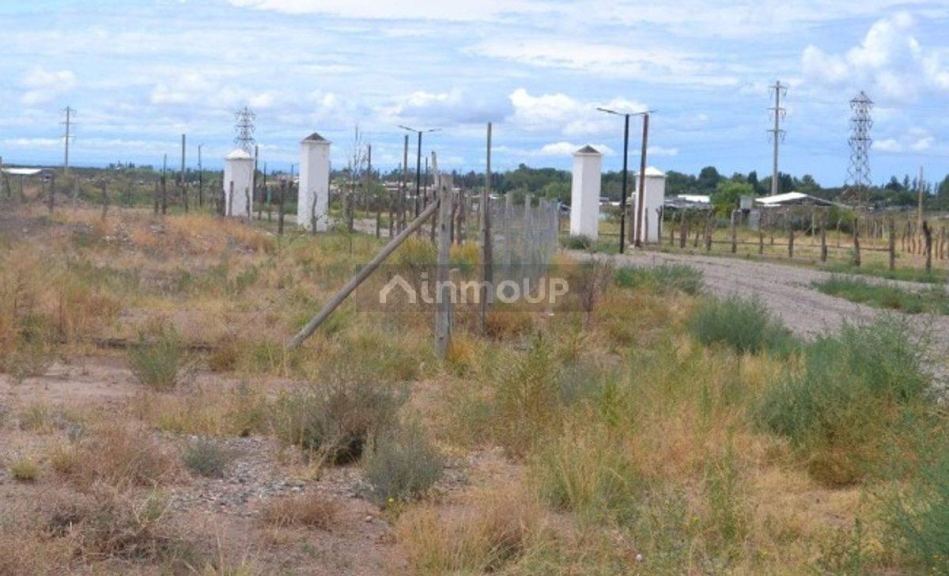 Lote en Venta en Lujan de Cuyo, Mendoza