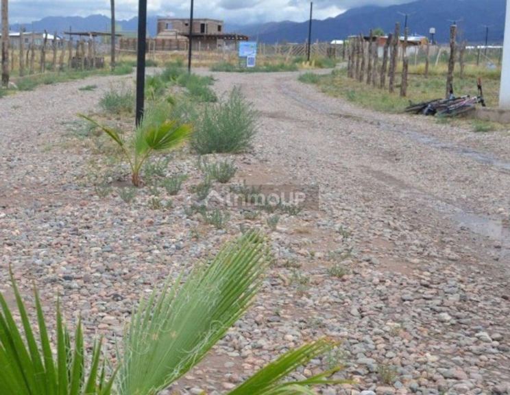 Lote en Venta en Lujan de Cuyo, Mendoza