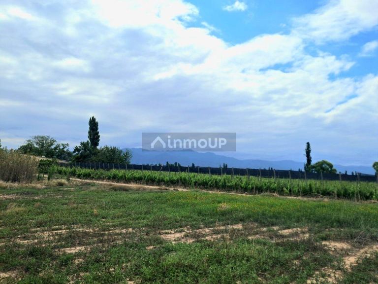 Lote en Venta en Lujan de Cuyo, Mendoza