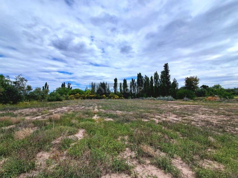 Lote en Venta en Lujan de Cuyo, Mendoza