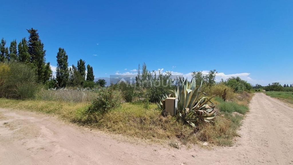 Lote en Venta en Lujan de Cuyo, Mendoza