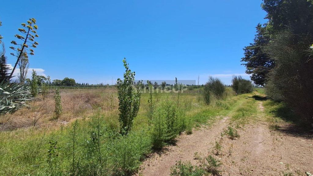 Lote en Venta en Lujan de Cuyo, Mendoza