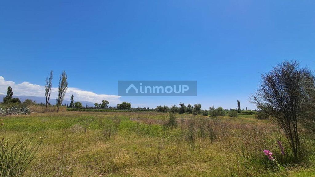 Lote en Venta en Lujan de Cuyo, Mendoza