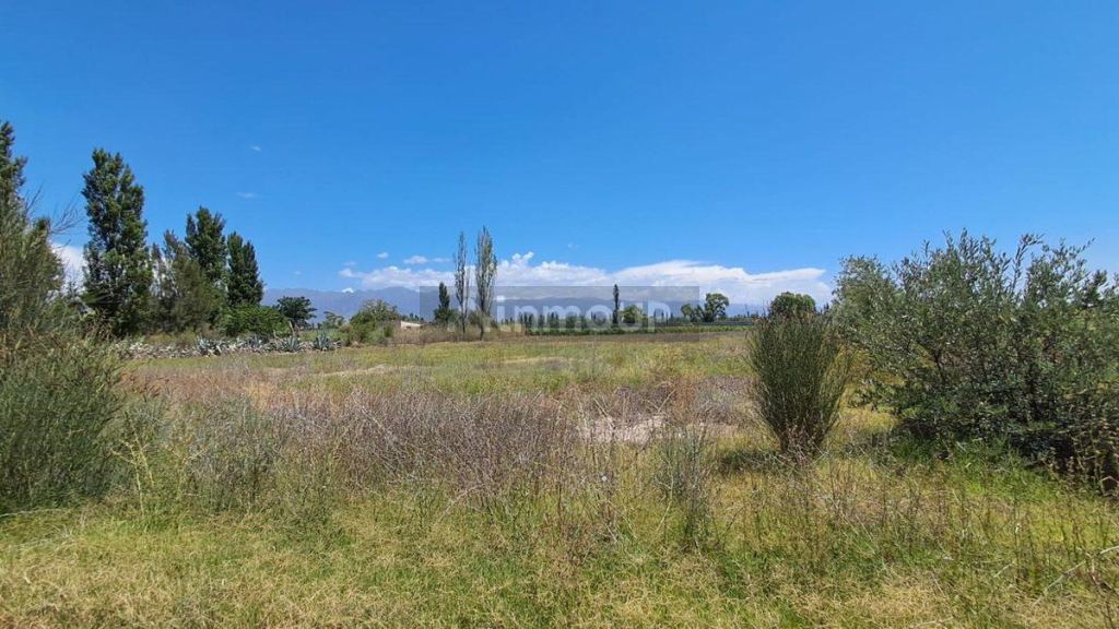 Lote en Venta en Lujan de Cuyo, Mendoza