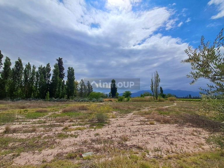 Lote en Venta en Lujan de Cuyo, Mendoza