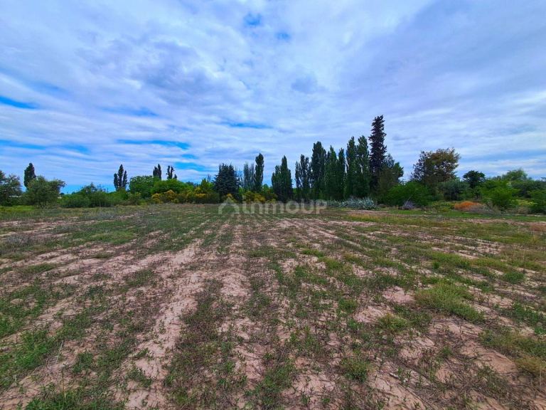 Lote en Venta en Lujan de Cuyo, Mendoza