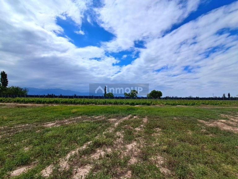 Lote en Venta en Lujan de Cuyo, Mendoza