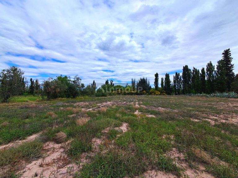 Lote en Venta en Lujan de Cuyo, Mendoza