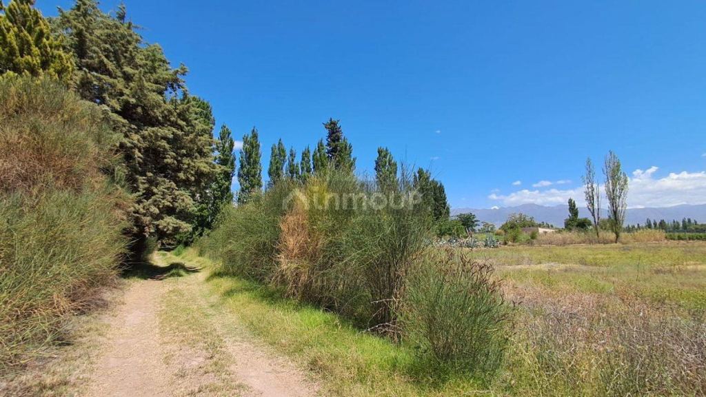 Lote en Venta en Lujan de Cuyo, Mendoza