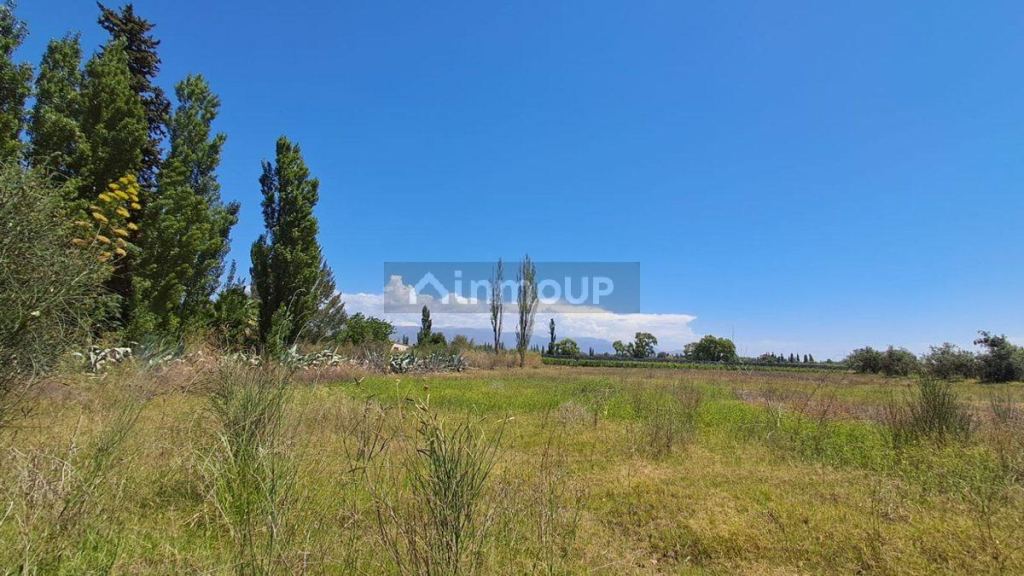 Lote en Venta en Lujan de Cuyo, Mendoza
