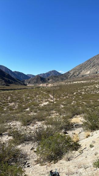 Terreno en Venta en Lujan de Cuyo, Mendoza