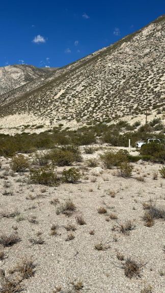 Terreno en Venta en Lujan de Cuyo, Mendoza
