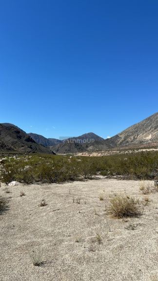 Terreno en Venta en Lujan de Cuyo, Mendoza
