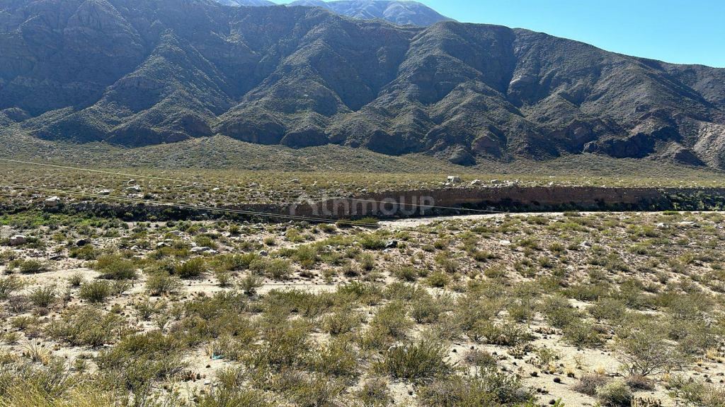 Terreno en Venta en Lujan de Cuyo, Mendoza