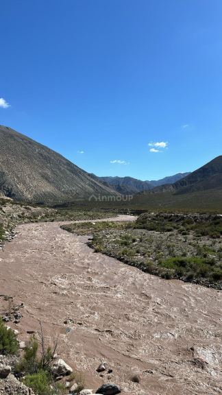 Terreno en Venta en Lujan de Cuyo, Mendoza