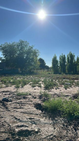 Lote en Venta en Lujan de Cuyo, Mendoza