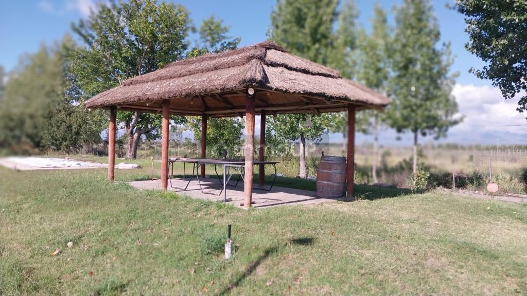 Finca en Venta en Tunuyan, Mendoza