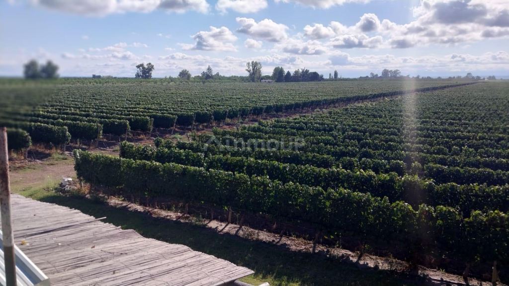 Finca en Venta en Tunuyan, Mendoza