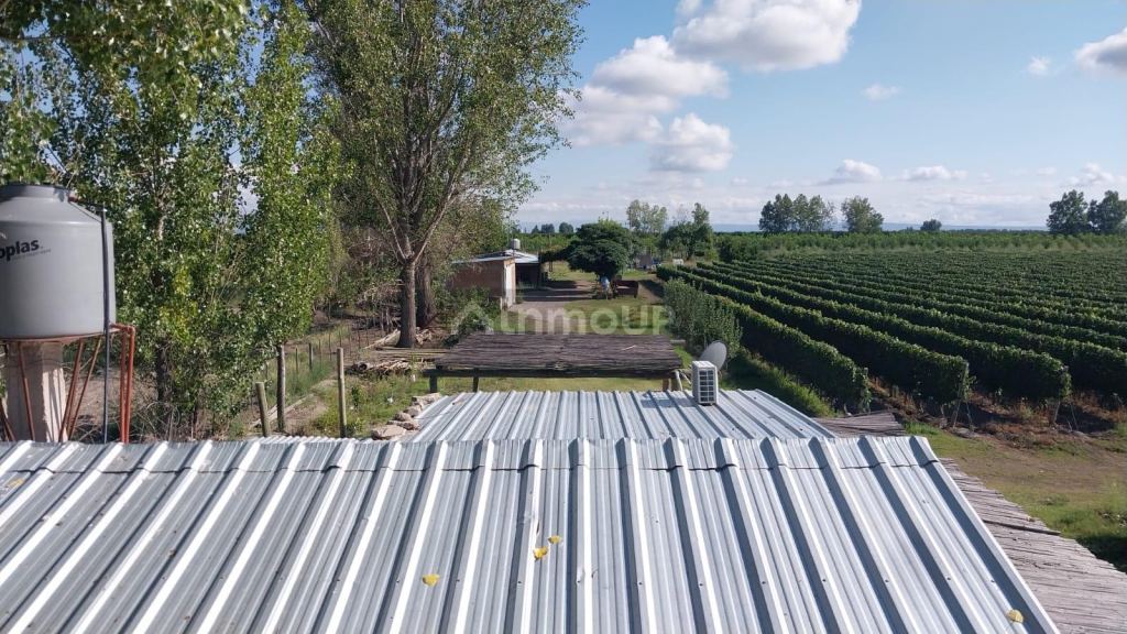 Finca en Venta en Tunuyan, Mendoza