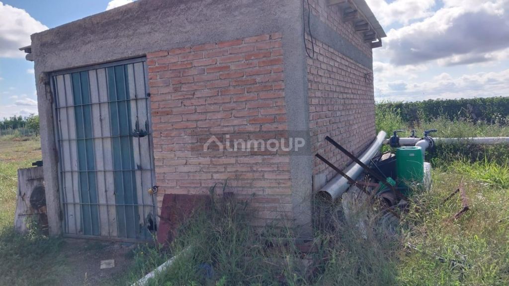 Finca en Venta en Tunuyan, Mendoza