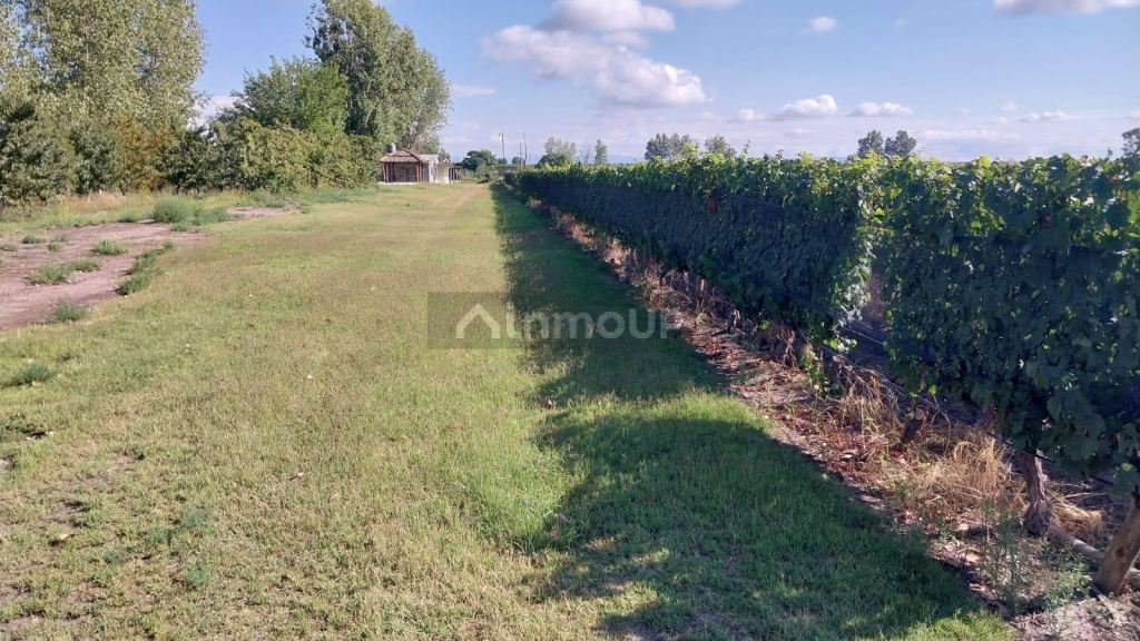 Finca en Venta en Tunuyan, Mendoza