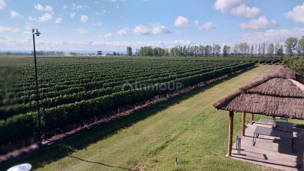 Finca en Venta en Tunuyan, Mendoza
