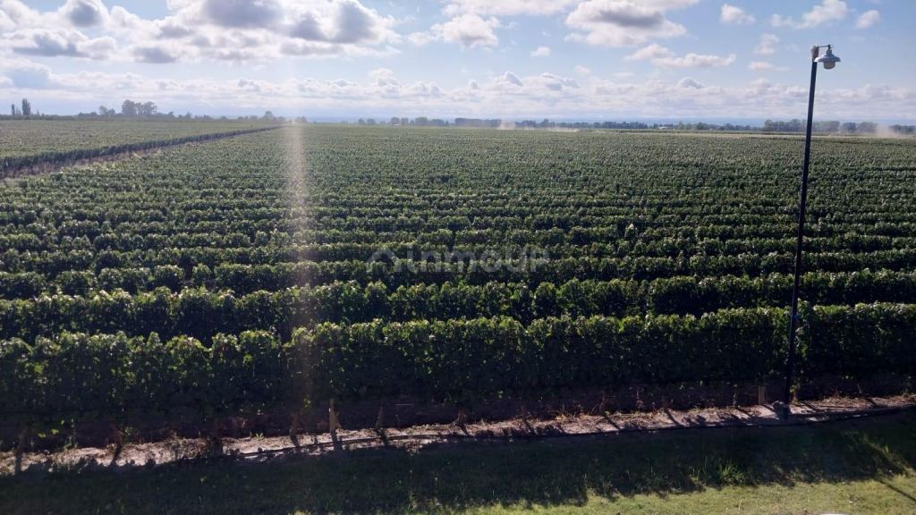 Finca en Venta en Tunuyan, Mendoza