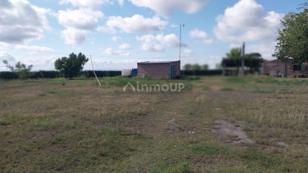 Finca en Venta en Tunuyan, Mendoza