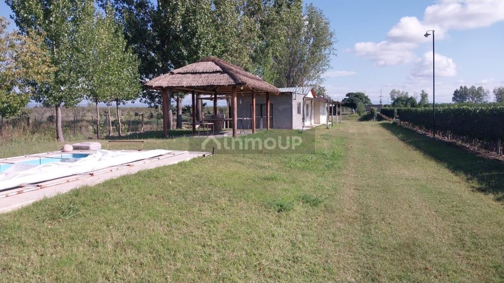 Finca en Venta en Tunuyan, Mendoza