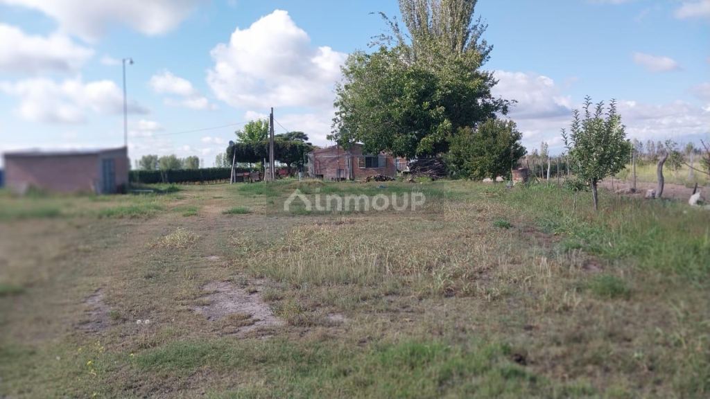 Finca en Venta en Tunuyan, Mendoza