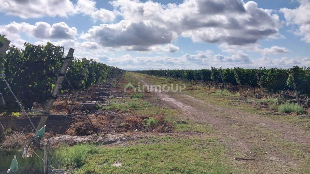 Finca en Venta en Tunuyan, Mendoza