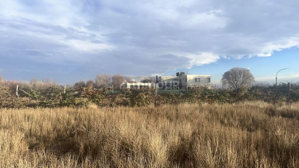 Lote en Venta en Lujan de Cuyo, Mendoza