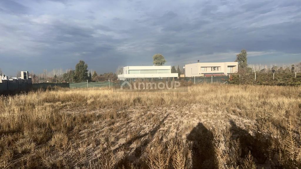 Lote en Venta en Lujan de Cuyo, Mendoza