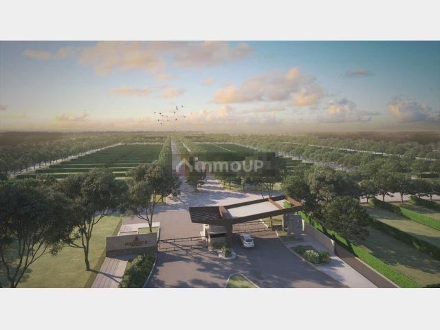 Lote en Venta en Maipu, Mendoza