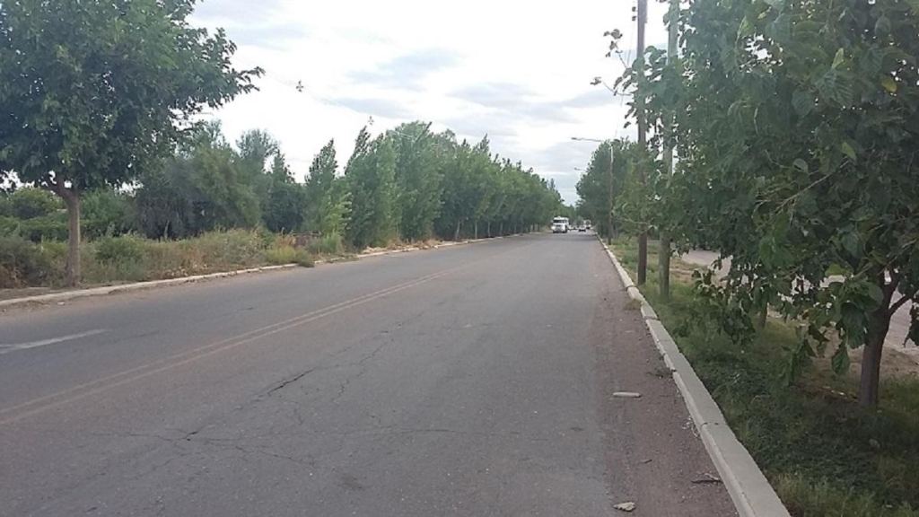 Loteo en Venta en San Martin, Mendoza