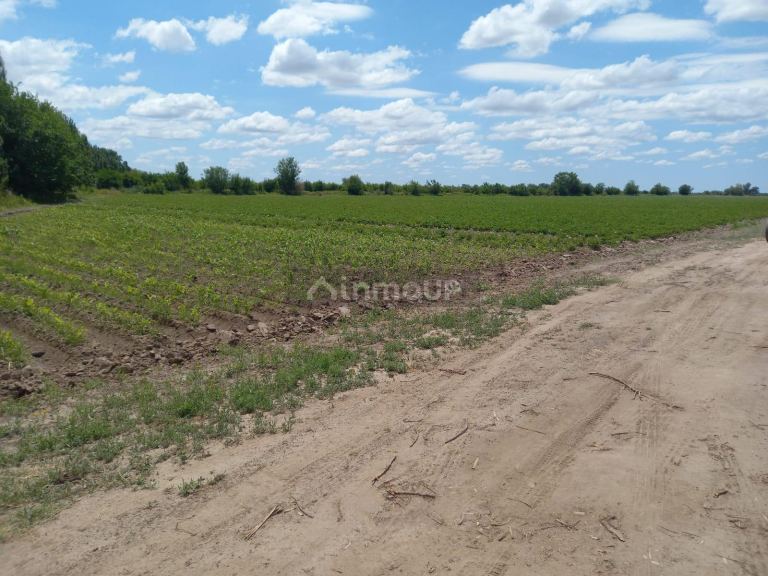 Finca en Venta en San Martin, Mendoza