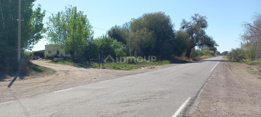 Finca en Venta en San Martin, Mendoza