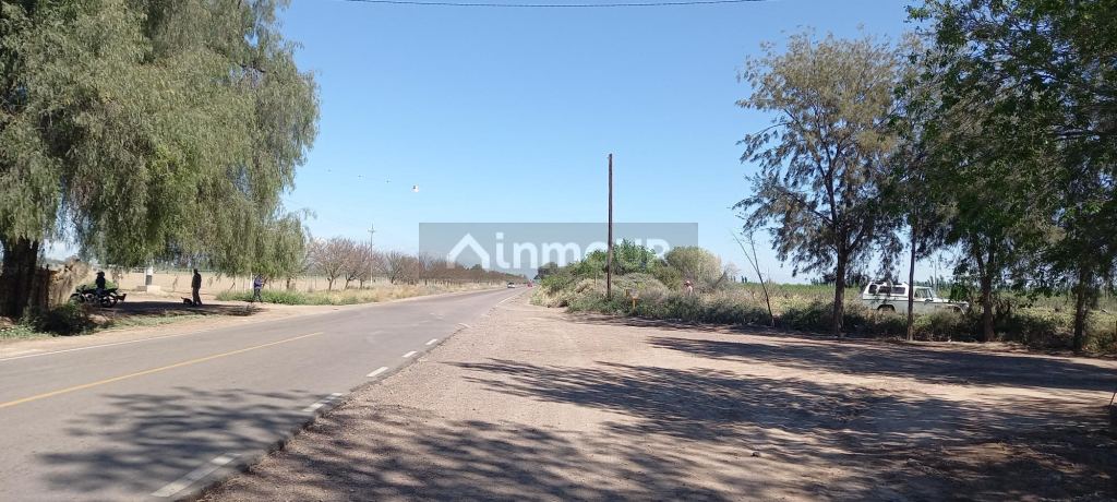 Finca en Venta en San Martin, Mendoza