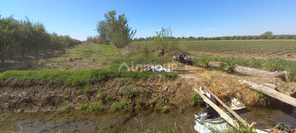 Finca en Venta en San Martin, Mendoza